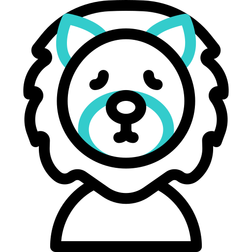 Lion Basic Accent Outline icon