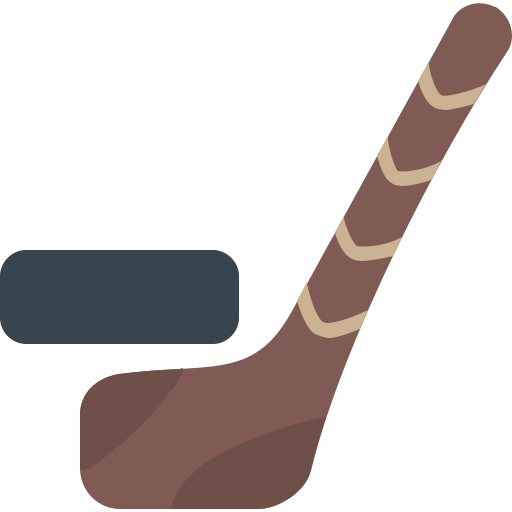 hokej na lodzie Generic color fill ikona