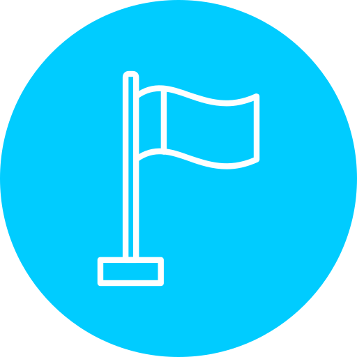 国旗 Generic color fill icon