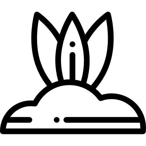 plant Detailed Rounded Lineal icoon