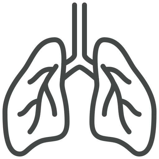 polmone Generic outline icona