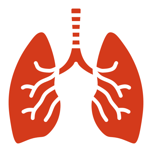 Дыхательная система Generic color fill иконка
