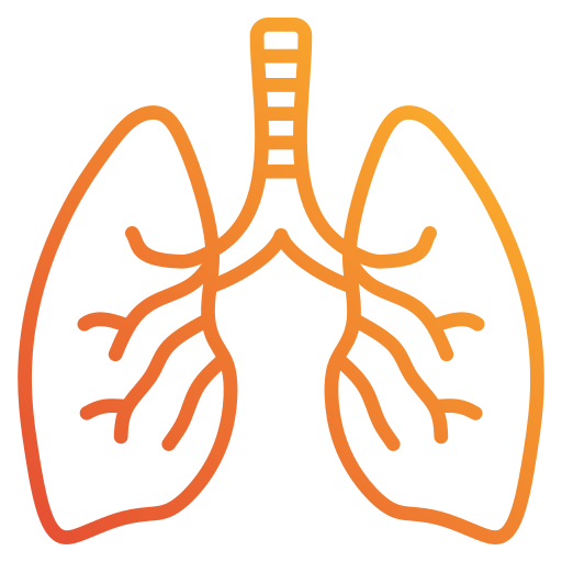 Дыхательная система Generic gradient outline иконка