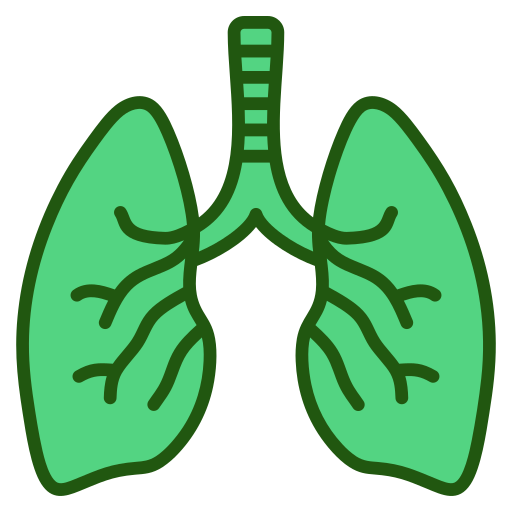 respiratorio Generic color lineal-color icono