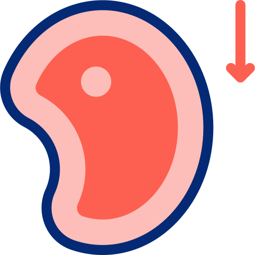 Meat Basic Accent Lineal Color icon