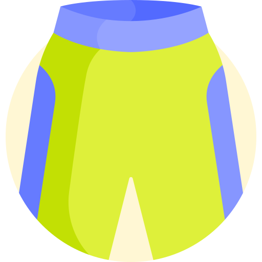 shorts Detailed Flat Circular Flat Icône