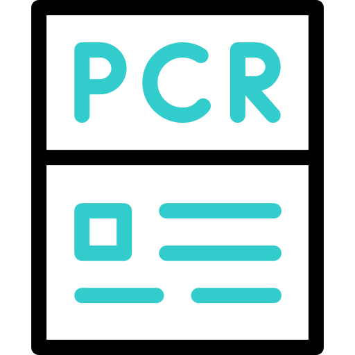 pcr Basic Accent Outline icona