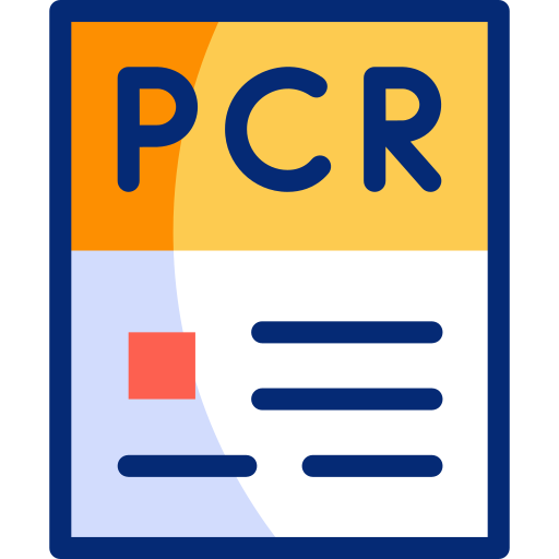pcr Basic Accent Lineal Color Ícone