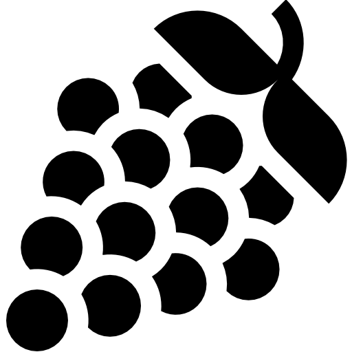 lampone Basic Straight Filled icona