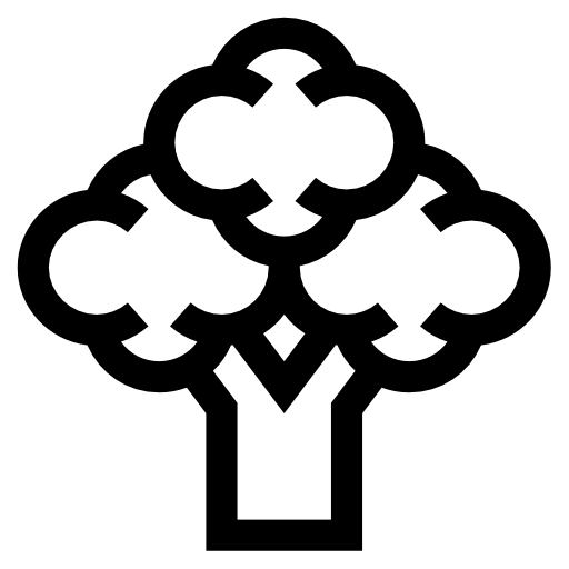 brócoli Basic Straight Lineal icono