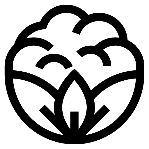 bloemkool Basic Straight Lineal icoon