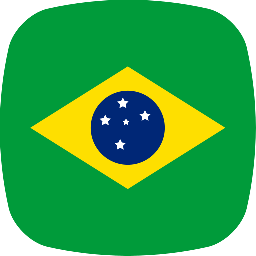 브라질 Generic color fill icon