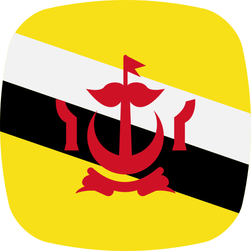 Brunei Generic color fill icon