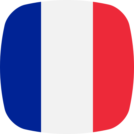 フランス Generic color fill icon