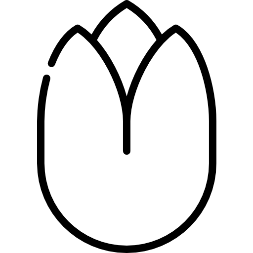 ピスタチオ Special Lineal icon
