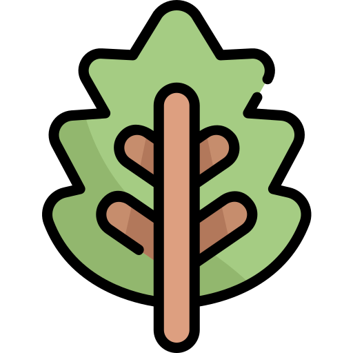 liść Kawaii Lineal color ikona