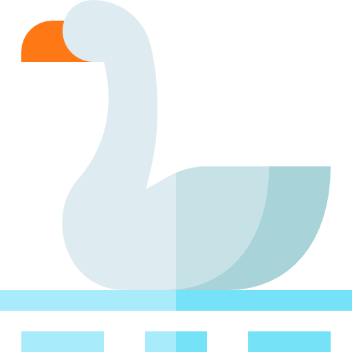 schwan Basic Straight Flat icon