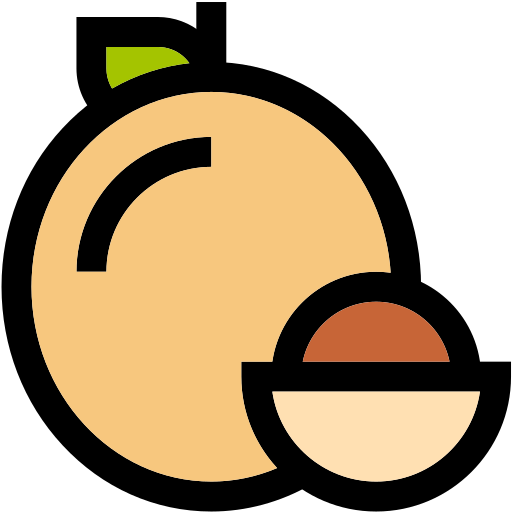 Longan Generic color lineal-color icon