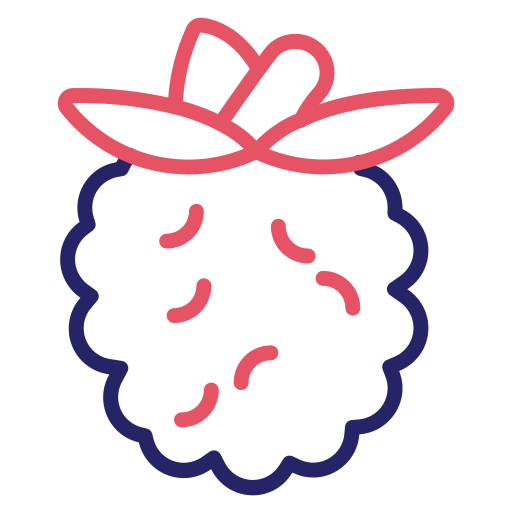 Raspberry Generic color outline icon