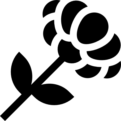 cinderpaschilla Basic Straight Filled ikona