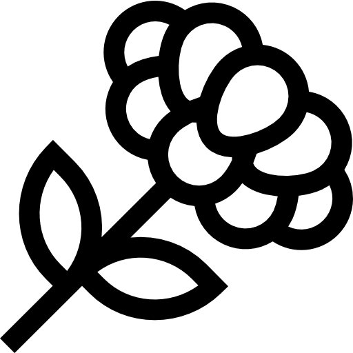 シンデルパシュチラ Basic Straight Lineal icon