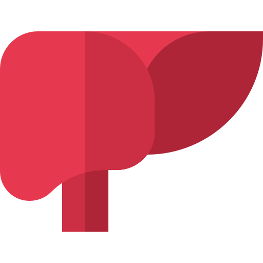 Liver Basic Straight Flat icon