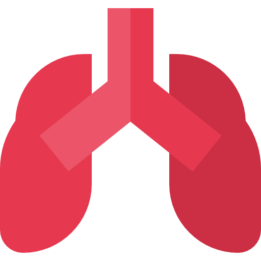 lunge Basic Straight Flat icon