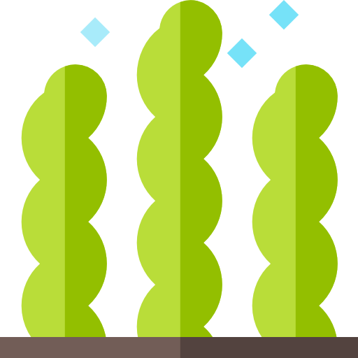 wodorost Basic Straight Flat ikona