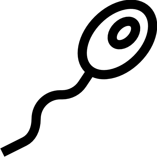 esperma Basic Straight Lineal icono
