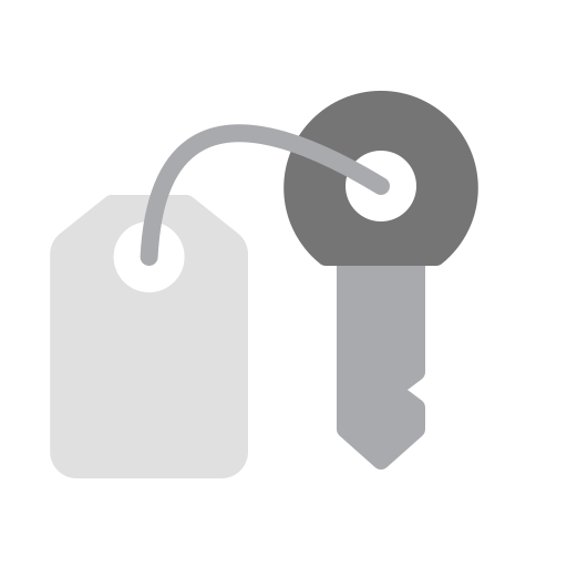 Key Generic color fill icon