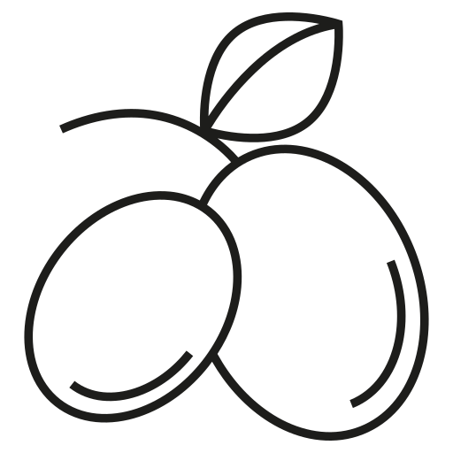 과일 Generic outline icon