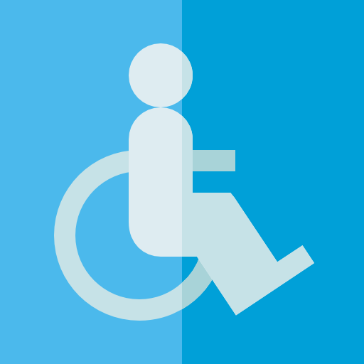 disabilità Basic Straight Flat icona