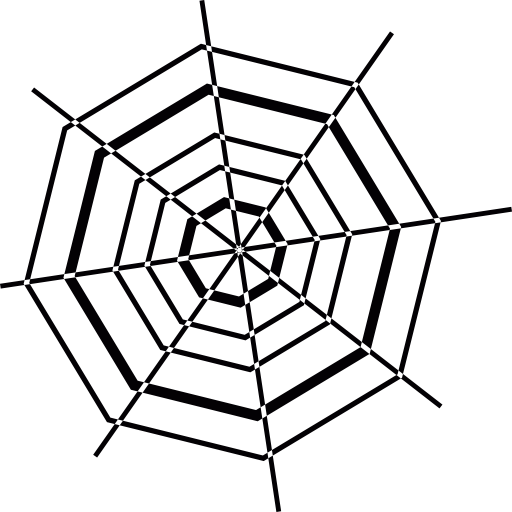 toile d'araignée octogonale  Icône
