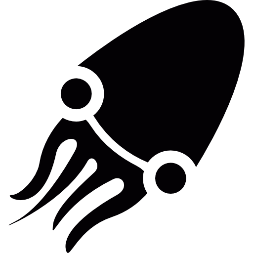 오징어  icon