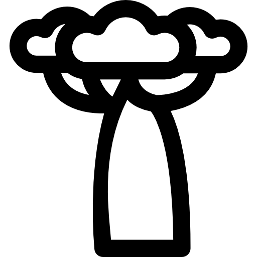 baobab Curved Lineal icoon