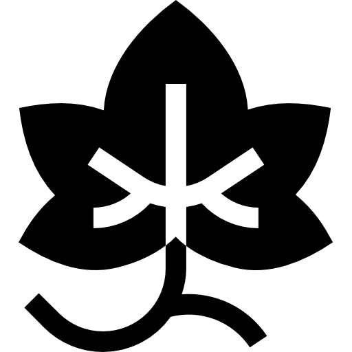 포도 Basic Straight Filled icon