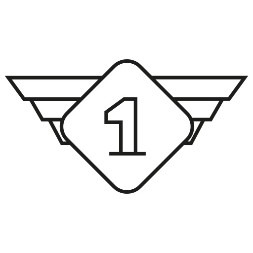 insignia Generic outline icono