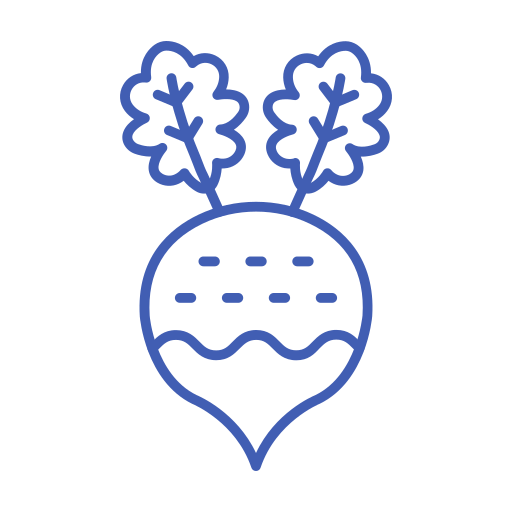 Turnip Generic color outline icon