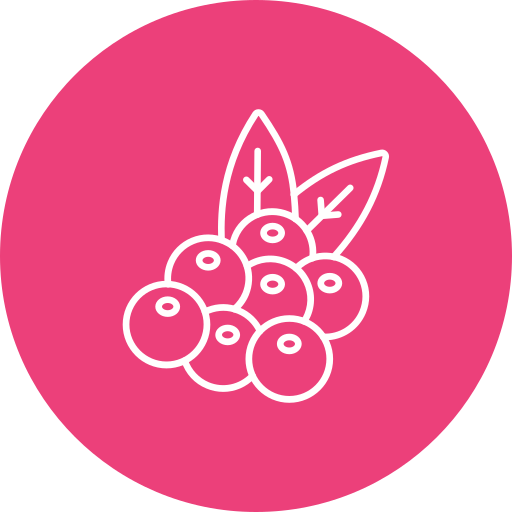 Berries Generic color fill icon