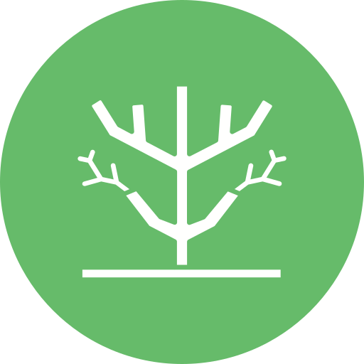 Dry tree Generic color fill icon