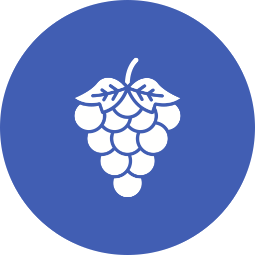 Grapes Generic color fill icon