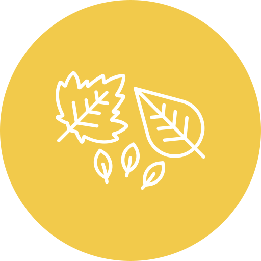 Dry leaves Generic color fill icon