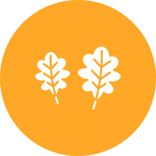 Oak leaf Generic color fill icon