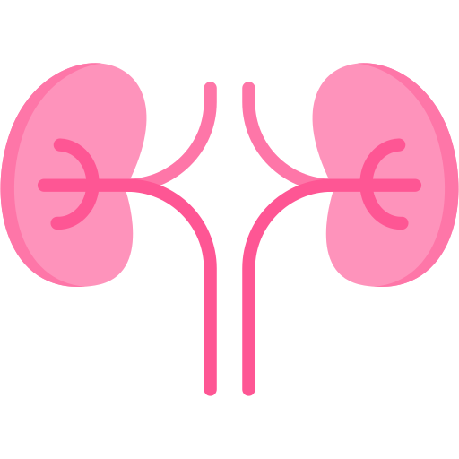 Nephrology Generic color fill icon