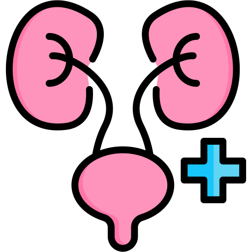 urologia Generic color lineal-color ikona