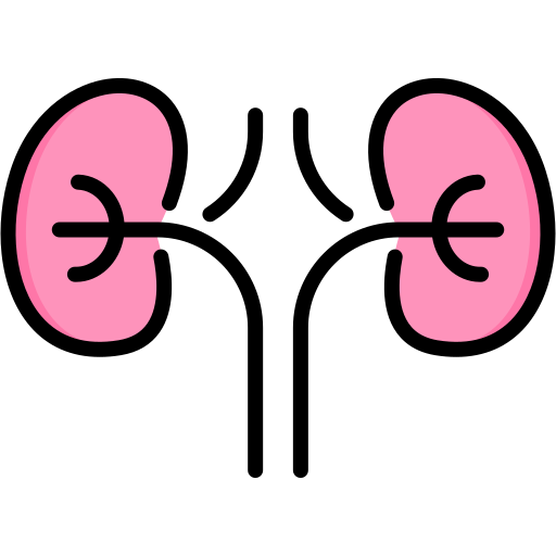 腎臓学 Generic color lineal-color icon