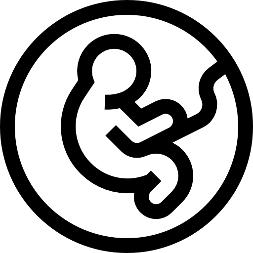 schwanger Basic Straight Lineal icon