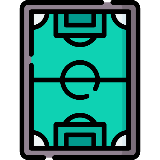 campo da calcio Special Lineal color icona