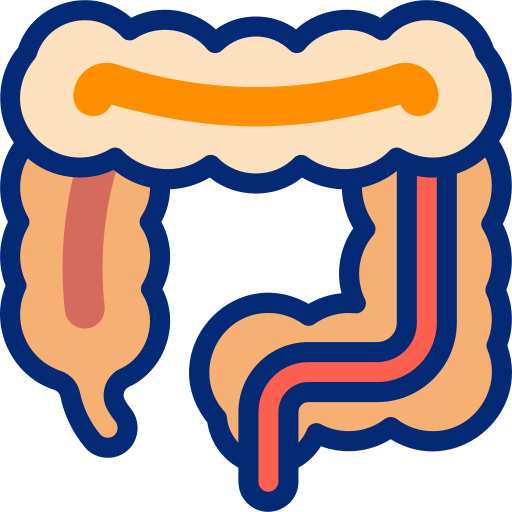 Colonoscopy Basic Accent Lineal Color icon