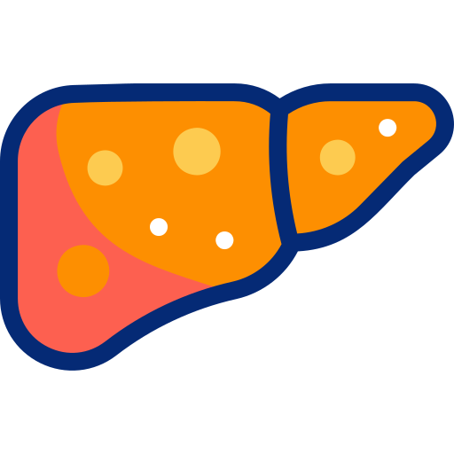 cirrosis Basic Accent Lineal Color icono